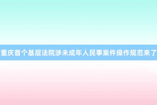 重庆首个基层法院涉未成年人民事案件操作规范来了