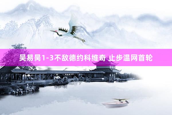 吴易昺1-3不敌德约科维奇 止步温网首轮