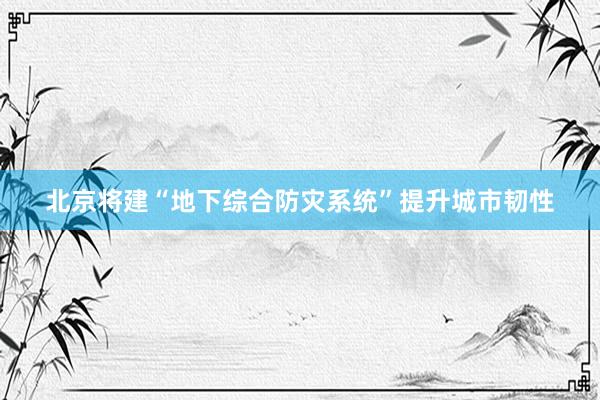 北京将建“地下综合防灾系统”提升城市韧性