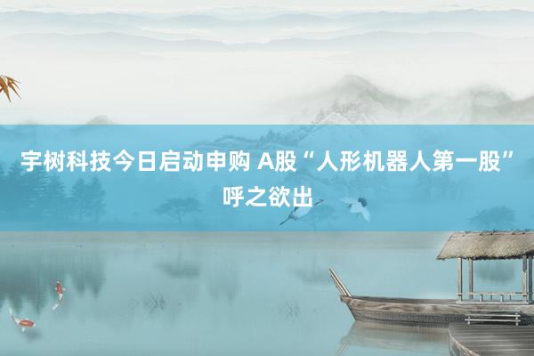 宇树科技今日启动申购 A股“人形机器人第一股”呼之欲出