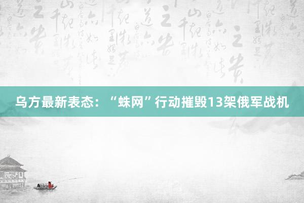 乌方最新表态：“蛛网”行动摧毁13架俄军战机
