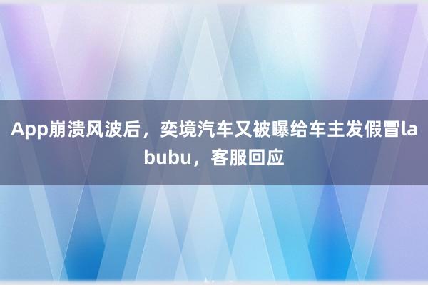 App崩溃风波后，奕境汽车又被曝给车主发假冒labubu，客服回应
