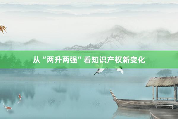 从“两升两强”看知识产权新变化