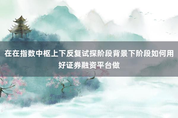 在在指数中枢上下反复试探阶段背景下阶段如何用好证券融资平台做
