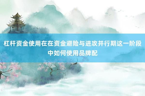 杠杆资金使用在在资金避险与进攻并行期这一阶段中如何使用品牌配