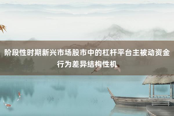 阶段性时期新兴市场股市中的杠杆平台主被动资金行为差异结构性机