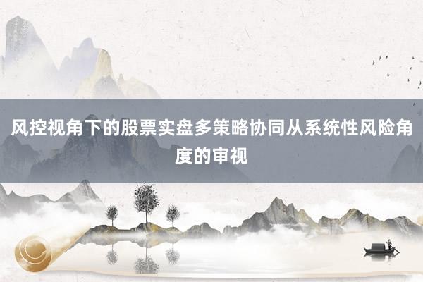 风控视角下的股票实盘多策略协同从系统性风险角度的审视