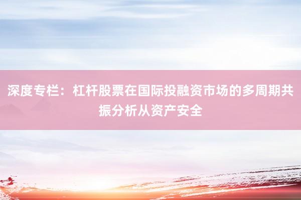 深度专栏：杠杆股票在国际投融资市场的多周期共振分析从资产安全