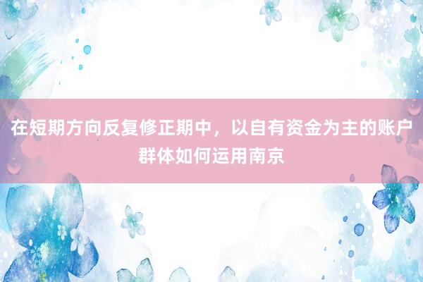 在短期方向反复修正期中，以自有资金为主的账户群体如何运用南京