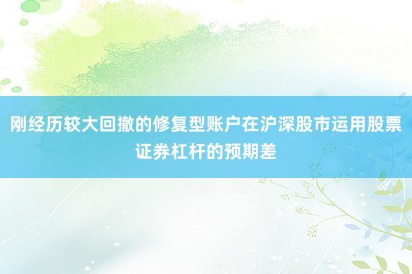 刚经历较大回撤的修复型账户在沪深股市运用股票证券杠杆的预期差