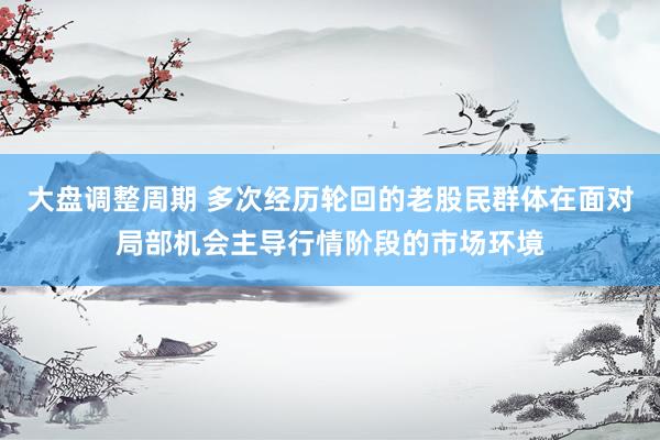 大盘调整周期 多次经历轮回的老股民群体在面对局部机会主导行情阶段的市场环境