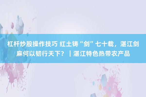 杠杆炒股操作技巧 红土铸“剑”七十载，湛江剑麻何以韧行天下？｜湛江特色热带农产品