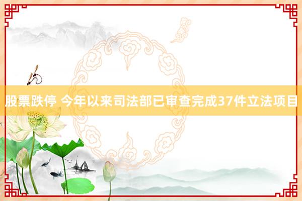 股票跌停 今年以来司法部已审查完成37件立法项目