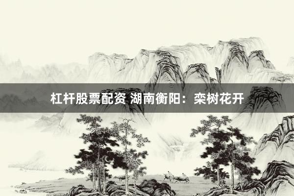 杠杆股票配资 湖南衡阳：栾树花开