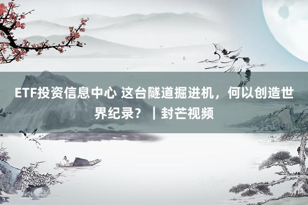 ETF投资信息中心 这台隧道掘进机，何以创造世界纪录？｜封芒视频