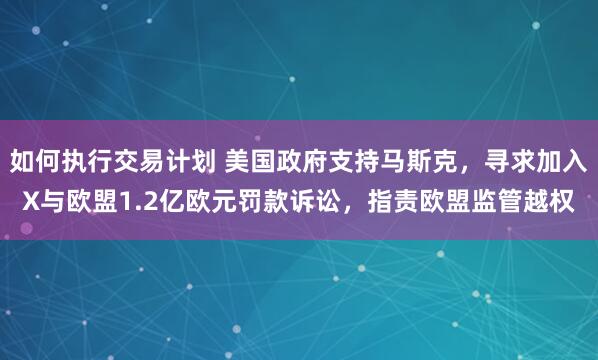 如何执行交易计划 美国政府支持马斯克，寻求加入X与欧盟1.2亿欧元罚款诉讼，指责欧盟监管越权