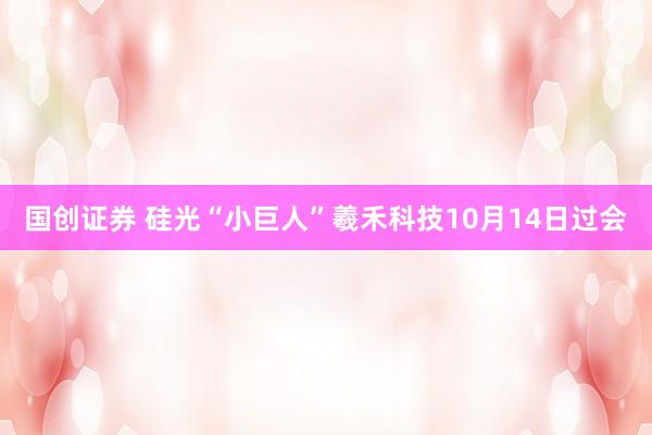 国创证券 硅光“小巨人”羲禾科技10月14日过会