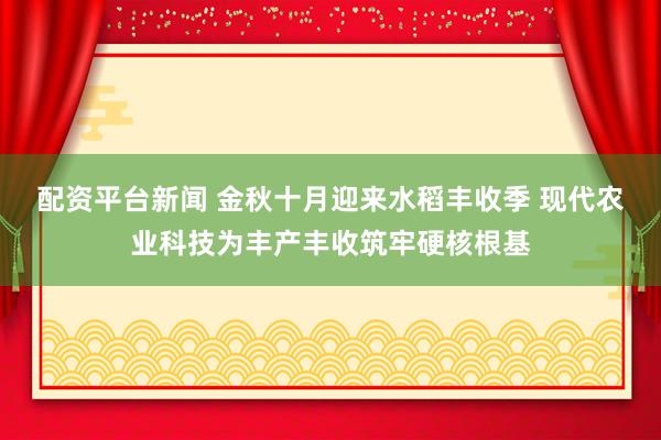 配资平台新闻 金秋十月迎来水稻丰收季 现代农业科技为丰产丰收筑牢硬核根基